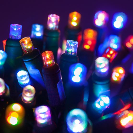 LED Holiday Lights