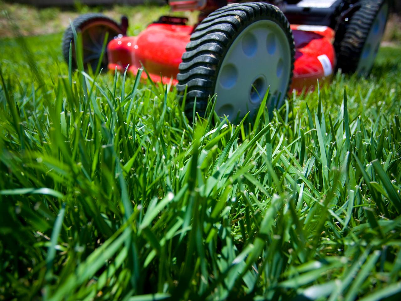 Lawn Mower-Grass