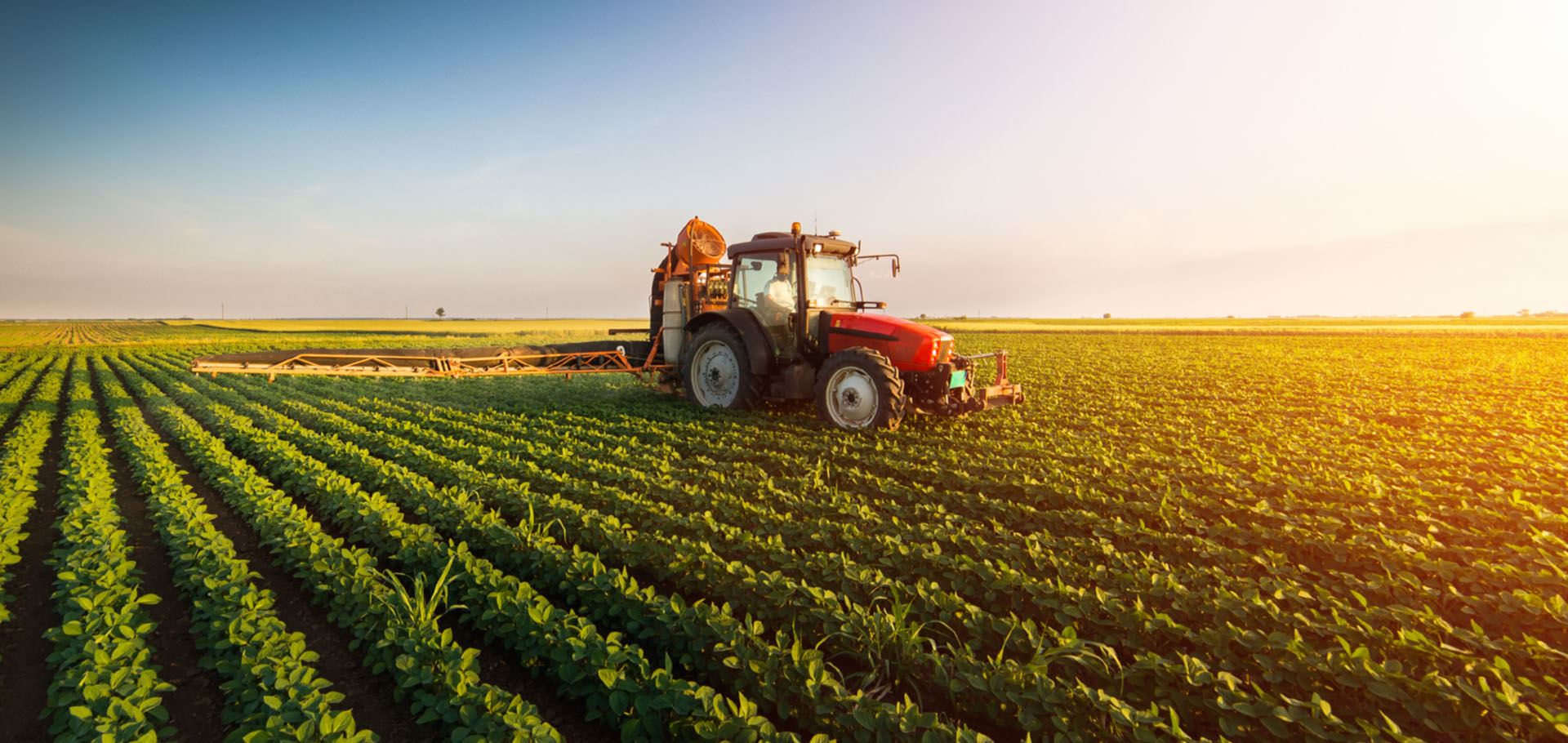 Tractor in Field